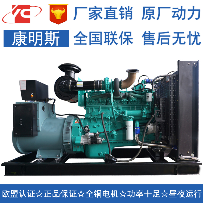 湖南200KW柴油發(fā)電機組康明斯NT855-GA