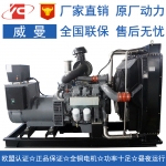 秦皇島250KW威曼D11A1發(fā)電機價格