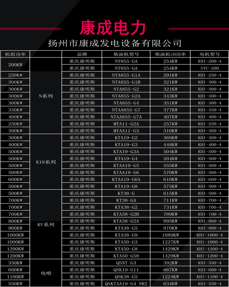 重慶康明斯11.jpg